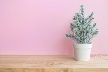 Cute pine tree mock up on white pot on wooden table and pink wwall background
