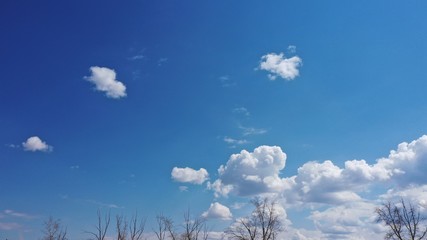 Cloud in Bichura