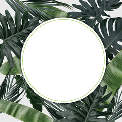 Empty round banner with green tropical leaves