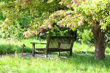 Springtime nature background with blossoming garden. Scenic view with wooden bench under beautiful...
