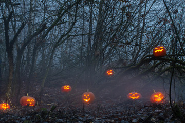 Halloween pumpkins in night forest © Maya Kruchancova