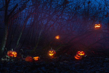halloween pumpkins in night forest