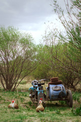  Russian village life. Old motorcycle and duck.