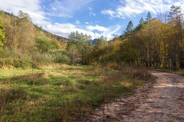 Fototapeta na wymiar Road in the mountain and chalets.