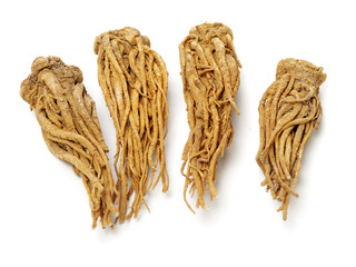 Angelica root used in chinese traditional herbal medicine, over white background. Radix angelicae sinensis,