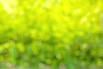 Fototapeta na wymiar Natural green bokeh background/Blurred of nature outdoor bokeh background