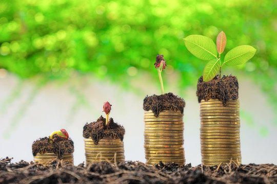 Stack of money, row of coins for financial and banking concepts, concept of money growth / money growth / financial and economic concepts / banks
