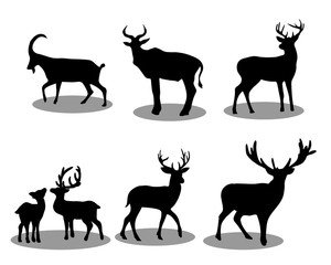 Set of Deers collection. Deers silhouette . Vector EPS 10.