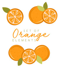 Set of fresh orange fruits, collection of vector illustrations