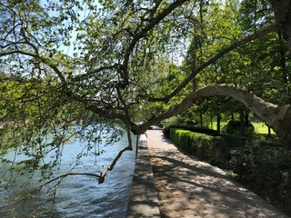 Platzspitz - Park with a turbulent past in the city of Zurich, Switzerland