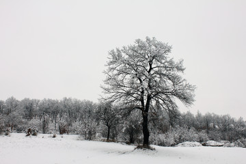 Winter in Serbia