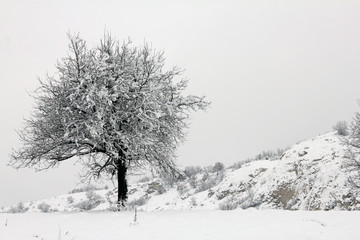 Fototapeta na wymiar Winter in Serbia