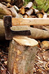 Axe in log