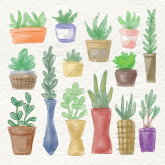 Plant drawing Set