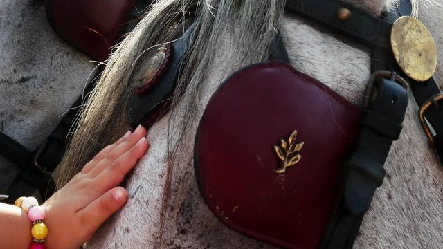 Detail close shot of a vintage horses carriage, 4k