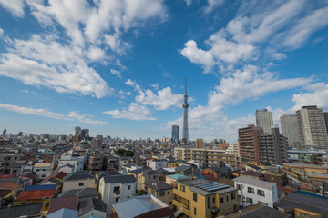 Obraz premium TokyoSkyTree