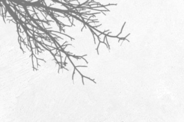 Grey grunge texture cement wall. copy space © paisan191