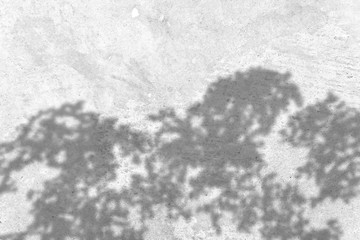 Grey grunge texture cement wall. copy space