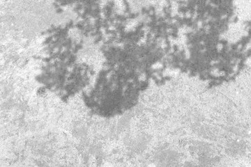 Grey grunge texture cement wall. copy space