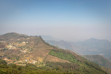 Hill view with green trees