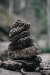 stones in the forest