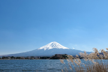 Mount Fuji view from Lake Kawaguchi, Yamanashi Prefecture, Lake Kawaguchi is a very popular tourist spot near Fuji Japan