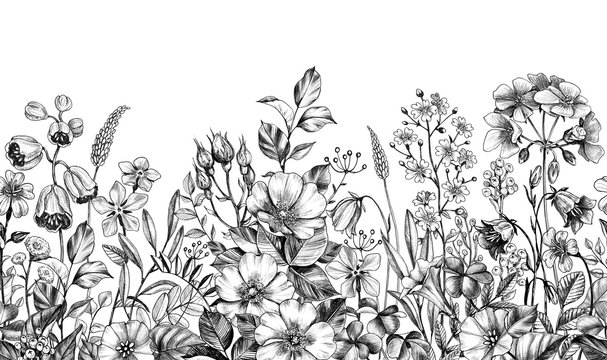 Wild Plants and Flowers Seamless Border