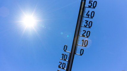 heat wave in summer