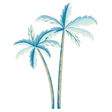 Vector palm tree illustration on white background