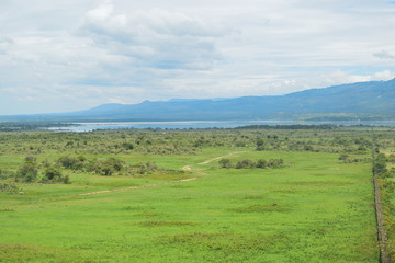 Fototapeta na wymiar Lake against a mountain and forest background, Lake Elementaita, Kenya