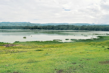 Fototapeta na wymiar Lake against a mountain and forest background, Lake Elementaita, Kenya