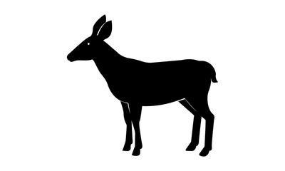 Deer vector illustration, Deer Logo Template - Vector 