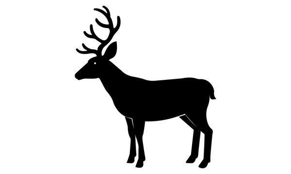 deer vector illustration - Vector 