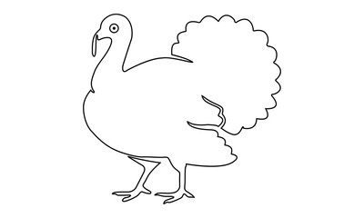 Turkey bird line icon for farm-related or holiday themed designs