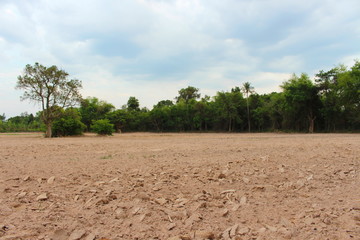 Fototapeta na wymiar Farmers prepare soil for planting rice.