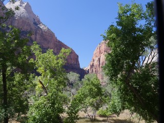  Sandstone cliffs framed by trees in the foreground at Zion National Park, Utah.