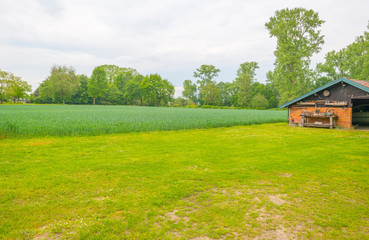 Fototapeta na wymiar Path along a shed in a field along trees in sunlight in spring