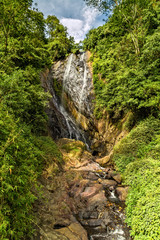 waterfall stone green moss rain forest
