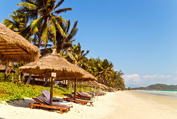 Palm in sand beach. Beach Umbrella made of palm leafs