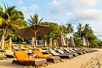 Coconut palm trees. Deckchairs umbrella and chair parasol