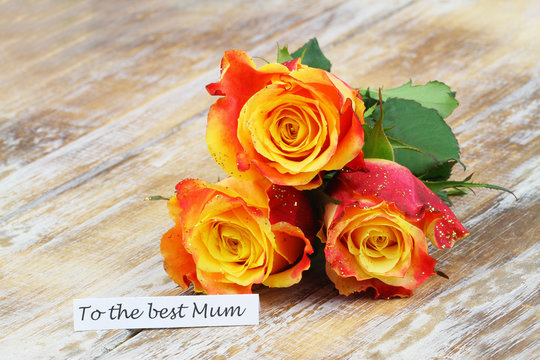 To the best Mum card with one colorful rose on wicker tray