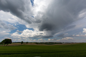 landscape, rape fields, rape seed