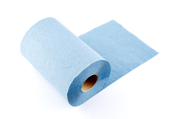 Paper towel roll isolated on white background. Roll of toilet paper.