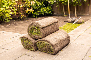 Preparing and applying natural turf rolls in the garden.- Image