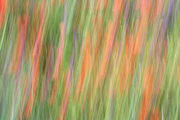 Abstracto
