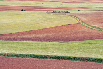 Paisaje