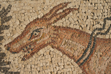 Roman Mosaic Floor 2