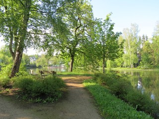 Luisateich in Bad Elster