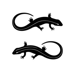 Naklejka premium Lizard black and white tattoo illustration vector