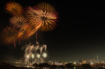 Naklejka premium Fireworks